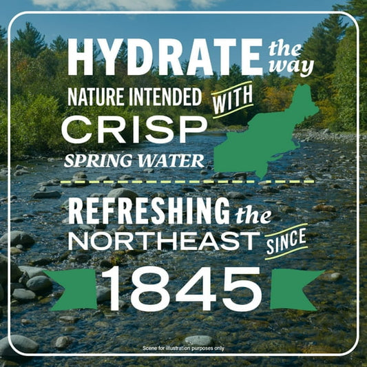 Poland Spring Maine Spring Water, 12 Fl Oz, 12-Pack Plastic Bottles