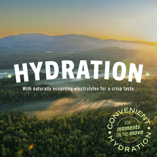 Poland Spring Maine Spring Water, 16.9 Fl Oz, 35-Pack Plastic Bottles